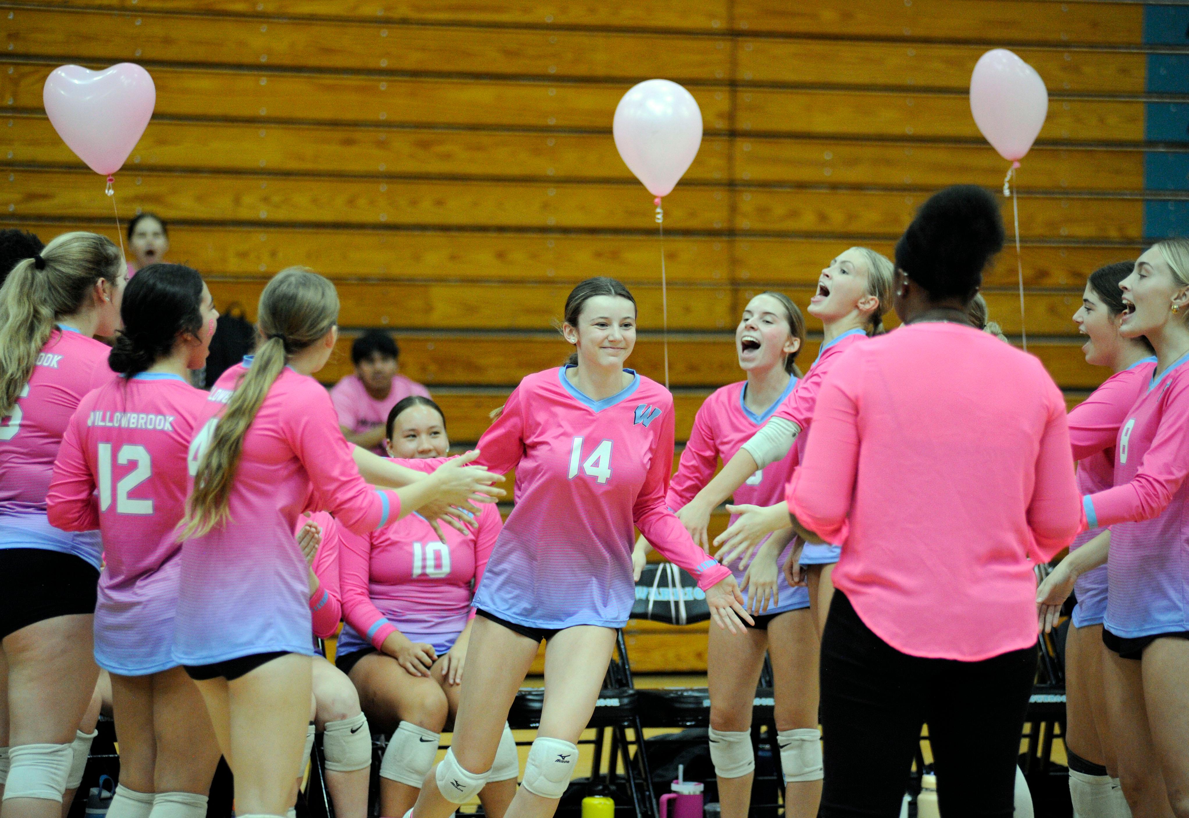 Willowbrook and Addison Trail face off for a cause during District 88’s annual Dig Pink girls volleyball match