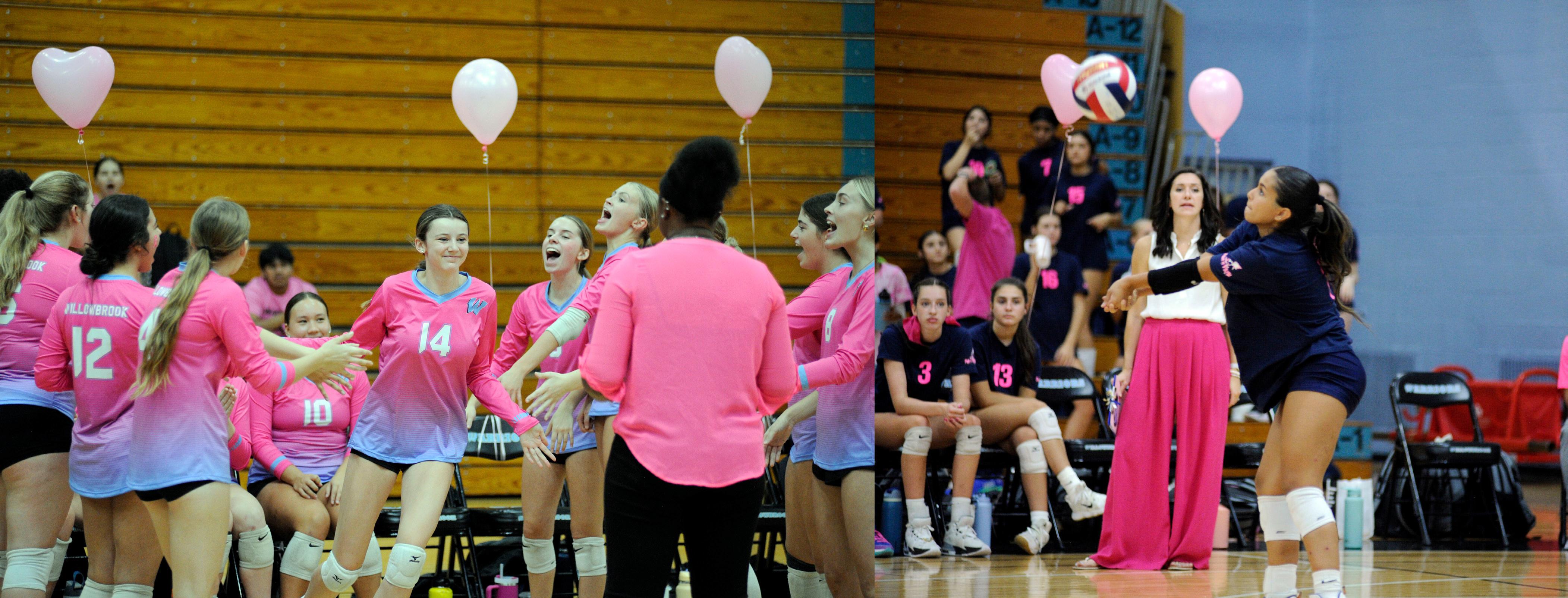 Willowbrook and Addison Trail face off for a cause during District 88’s annual Dig Pink girls volleyball match